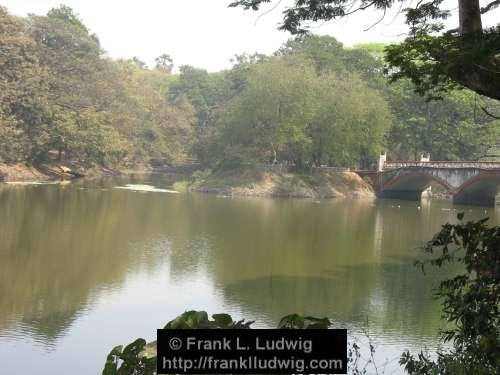 Sanjay Gandhi National Park, Borivali National Park, Maharashtra, Bombay, Mumbai, India